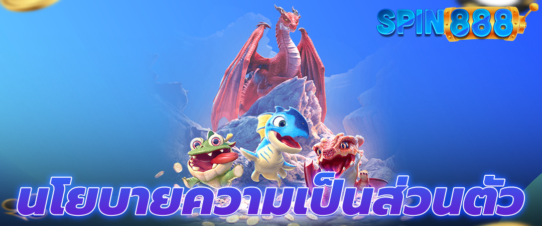 นโยบายความเป็นส่วนตัว